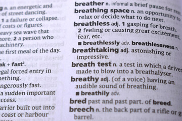 Fototapeta premium Close Up Of English Dictionary Page With Word - Breathtaking