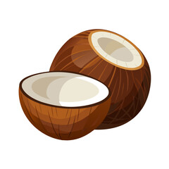 Whole and halved brown coconut tropical fruit vector illustration scalable graphic