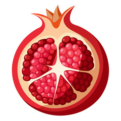Vibrant cross section of a ripe pomegranate fruit illustration vector graphic