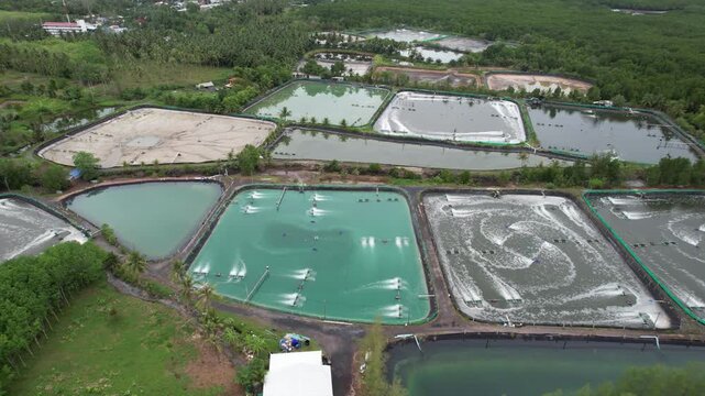 Aerial drone footage of shrimp farming ponds with paddle wheel aerators operating in rural Thailand, aquaculture industry, sustainable seafood production concept.