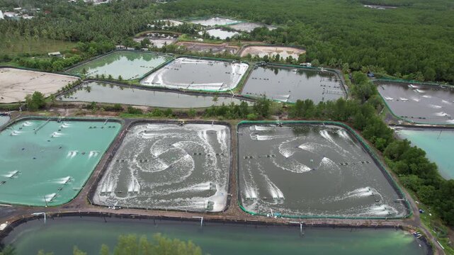Aerial drone footage of shrimp farming ponds with paddle wheel aerators operating in rural Thailand, aquaculture industry, sustainable seafood production concept.