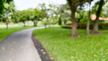 bright blurred capturing winding path through sunny public park. asphalt path curves away into distance, bordered by vibrant green grass on both sides. scene features prominent bokeh effects