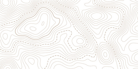 Topographic map pattern background vector. Abstract mountain terrain map background with abstract shape line texture. Design illustration for wall art, fabric, packaging, web, banner.