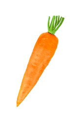 Fresh raw carrot with short green stem isolated on transparent background. Bright orange vegetable, edible root