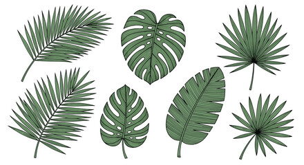 A collection of diverse tropical palm and monstera leaves.