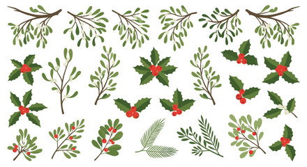 Set of Christmas holiday botanical elements for design
