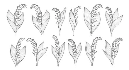 A collection of decorative floral illustrations with intricate detailing and leaf motifs.