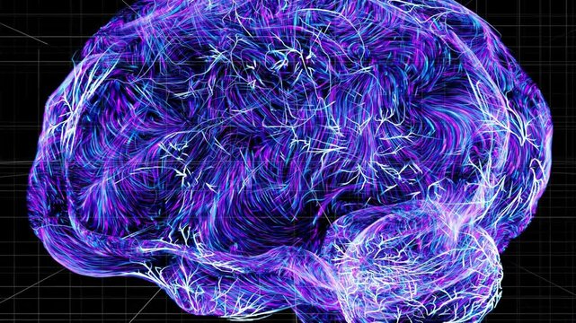 Detailed 3D animation showing the human brain and nervous system with glowing neural pathways and electrical impulses traveling through neurons.
