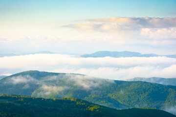 Obraz premium spring mountain landscape of ukraine with fog in valley and clouds on blue sky in morning light. dramatic atmosphere phenomenon view from the top. evaporating forest on the hills of carpathians