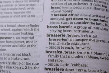 Obraz premium Close Up Of English Dictionary Page With Word - Brassica