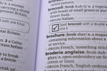 English Definition Dictionary Page Close Up Of Printed Word Of -Brochure