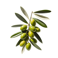 Green olives gleam with shadows, offering natural, isolated imagery. Great for olive oil product photography, restaurant menus, or botanical design.