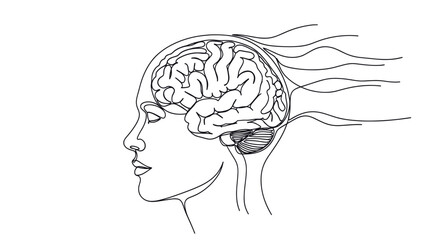 Profile of a human head with a visible brain, symbolizing psychology, neuroscience, and mental health. Line art vector illustration, isolated on a transparent background