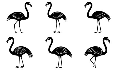 Obraz premium Six black flamingo silhouettes standing in various poses against a white background in a vector format