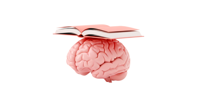 Anatomical human brain with open book balanced on top isolated on transparent background