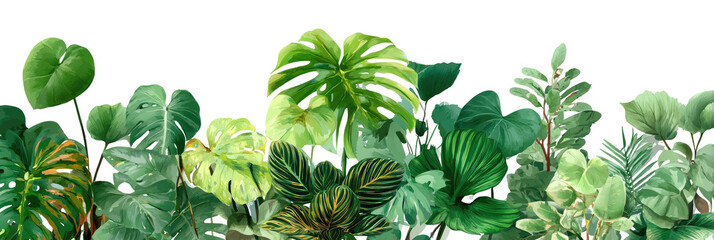 Lush tropical foliage border (2)