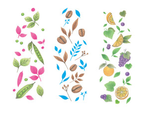 완두콩과 커피, 잎, 오렌지, 포도를 손그림으로 그린 일러스트