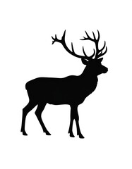 Obraz premium Silhouette of a stag