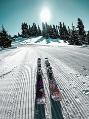 Low angle, first-person view of skis planted in groomed snow (corduroy) on a sunny day with trees and sun flair in the background