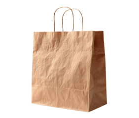 Light brown paper shopping bag with handles (4)