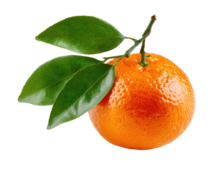 Single ripe tangerine with leaves