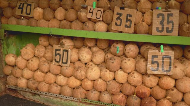 Husked coconuts on sunlit roadside stall, rows of husked coconuts with handwritten prices at outdoor market, densely arranged display of husked coconuts with handwritten tags at bustling roadside