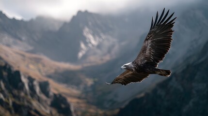 A majestic eagle soars with wings spread wide over a rugged misty mountain landscape