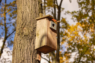 Bird house 1