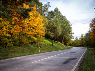 Fototapeta premium Zákrutou vedúca jesenná cesta s farebnými stromami, cestným zvodidlom a značkami, pripomínajúca opatrnosť pri jazde v jeseni.