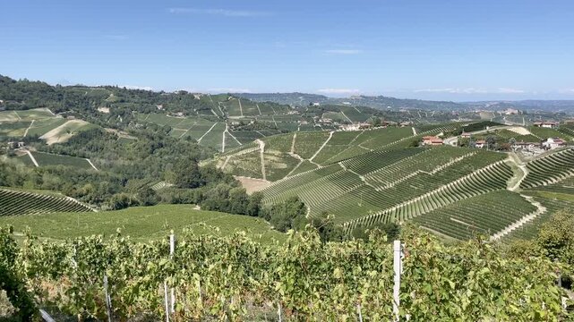 Panoramic view of Serralunga d'Alba and its surrounding vineyards, Piedmont, Italy.