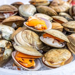 Fresh clams on ice
