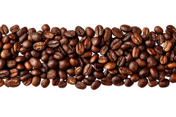 Roasted coffee beans arranged in a horizontal band (1)