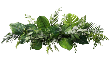 Lush tropical foliage arrangement.  A horizontal display of various tropical plants, including large, vibrant green leaves, smaller, textured leaves, and white accents. 