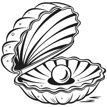A black and white illustration of an open seashell with a pearl inside on a white background art