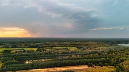 Obraz premium Aerial view of vast forest landscape under a cloudy sky. Golden hues of sunset illuminate lush greenery, highlighting nature's beauty and serenity in rural Poland.