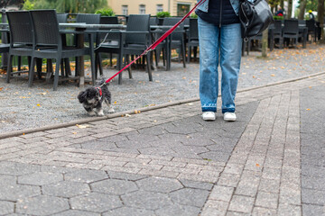 Street-level photo captures a person in jeans and white sneakers walking a small, fluffy black dog on a red leash past an outdoor cafe seating area