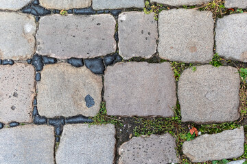 Top-down, close-up view of old, irregularly shaped grey cobblestones, with dark grout and small tufts of green grass and moss growing in the crevices