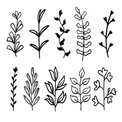 Simple Wildflower Line Art Collection