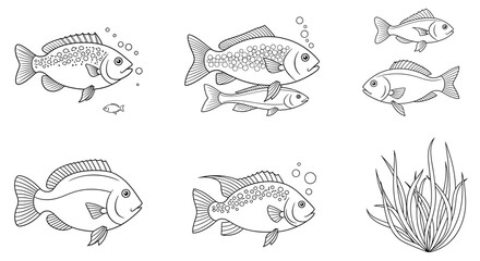 Vactor illustration of fish set for aquatic animal concept design