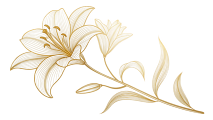 Elegant illustration of a lily flower with golden lines and a black background enhancing its beauty