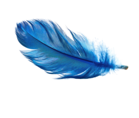 Vibrant, detailed close-up of a single,  vibrant blue feather