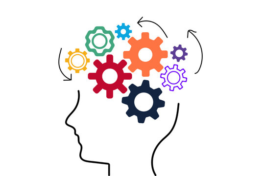 Human brain settings function illustration
