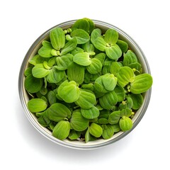 Fresh, vibrant green leaves in a round bowl