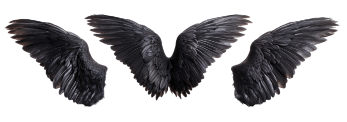 Dark, dramatic angel wings, spread wide against a black background