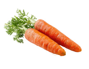 Two fresh, whole carrots with green tops, lying diagonally