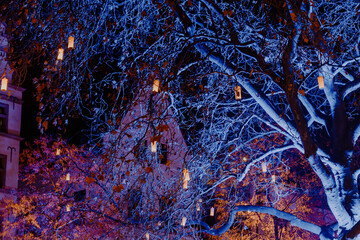 Illuminated Tree With Hanging Lanterns At Night