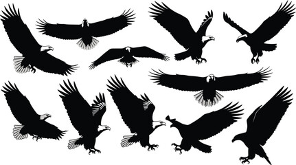 Eagle silhouette collection, flying bird shapes, majestic raptor wings spread, wildlife vector design, predator landing pose, 
