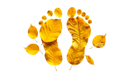 Autumn footprints made of golden leaves on a black background
