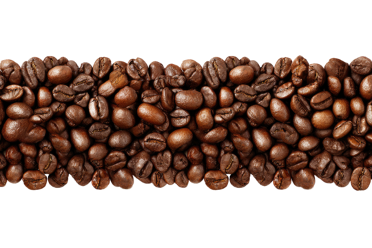 Roasted coffee beans arranged in a horizontal band