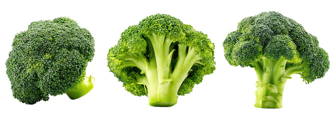 Three fresh broccoli heads, vibrant green, isolated on black
